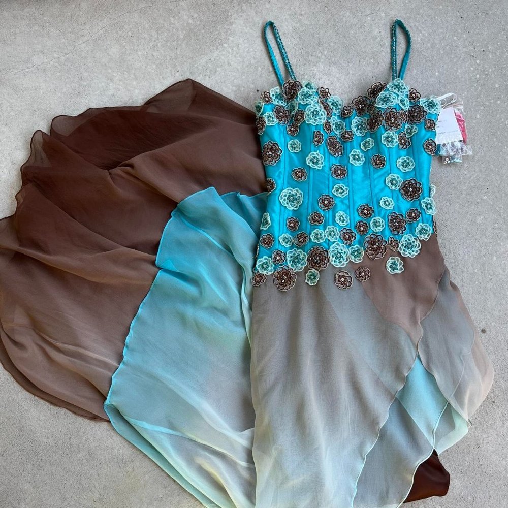 Alyce Designs Women Blue and Brown Dress NWT Vintage Fairy 100% Silk Sheer Dress